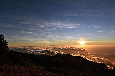 《吸血鬼幸存者》12月6日更新解锁冒险模式
